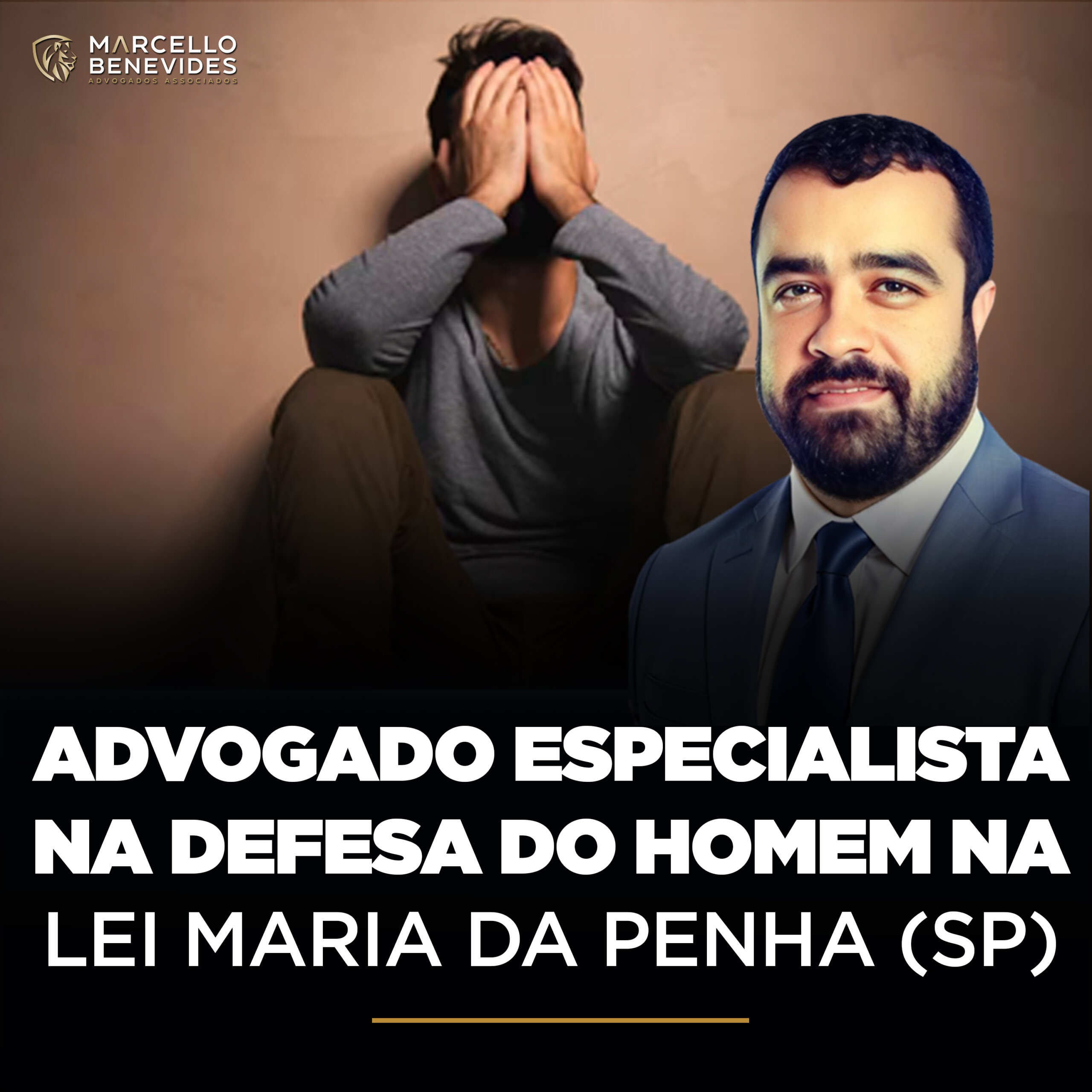 Advogado Lei Maria Da Penha Capa Scaled